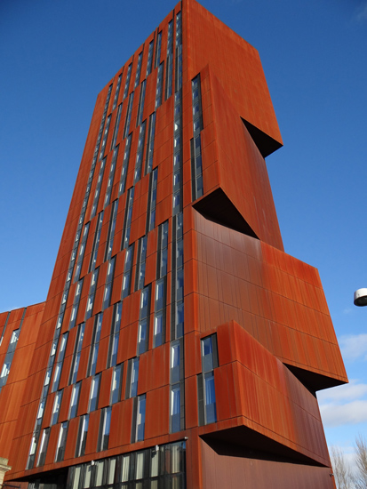 Portfolio Image 1