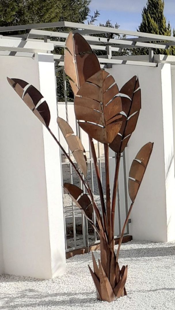 Portfolio Image 1